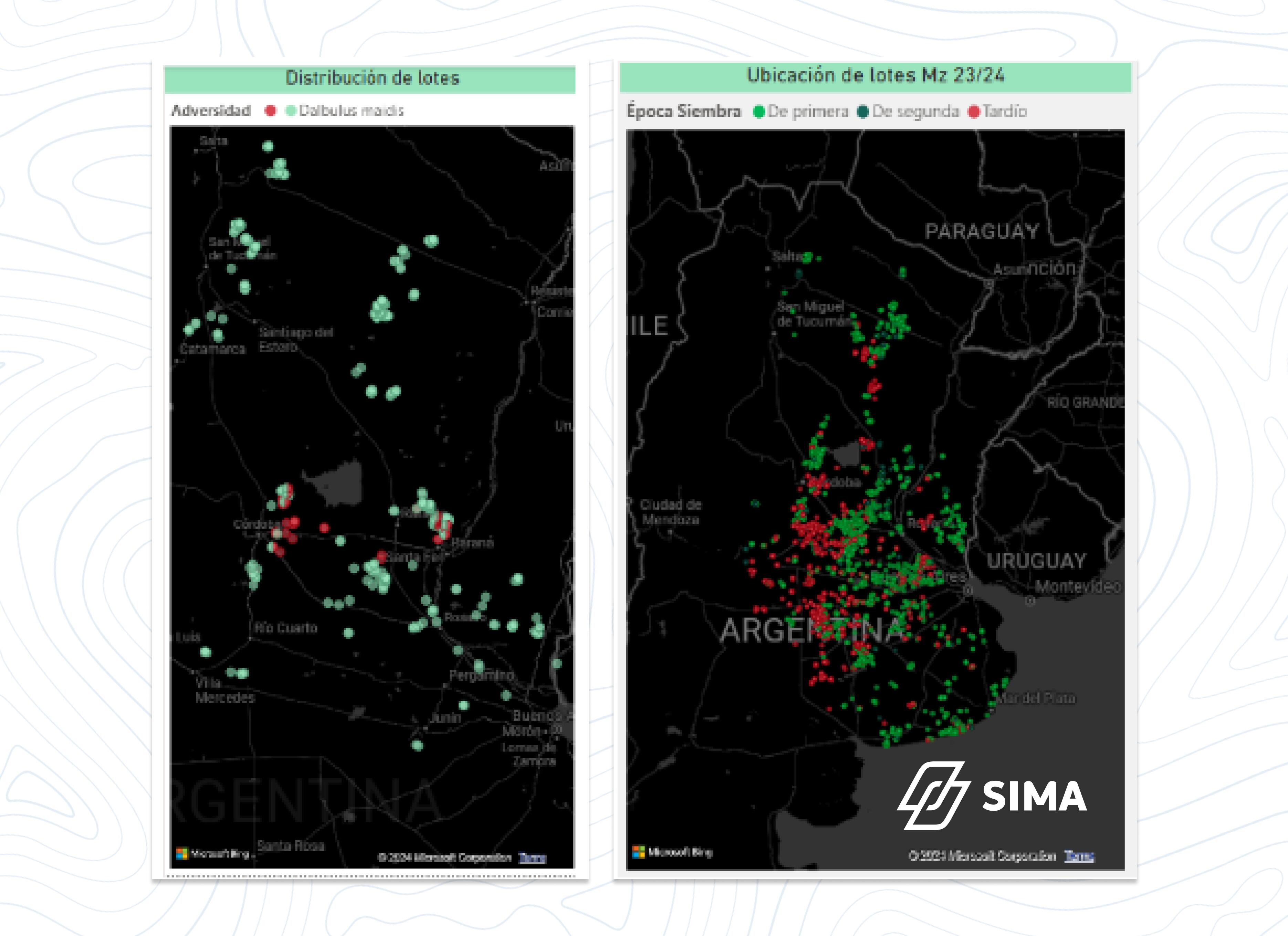 Imagen satelital sobre distribución de lotes y ubicación de los lotes con maíz