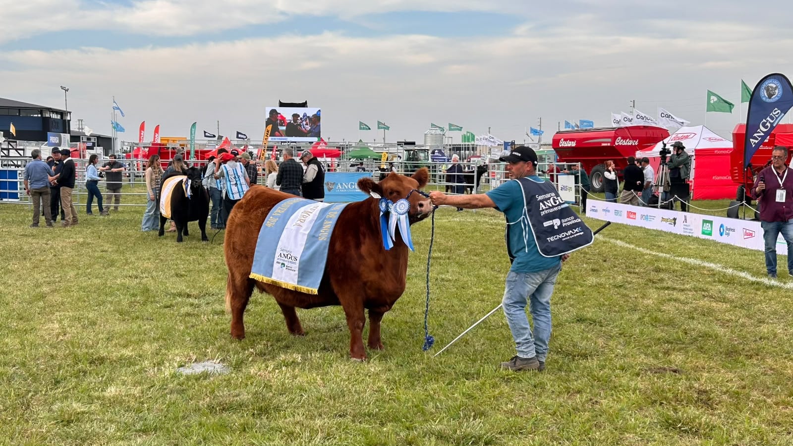 La competencia mostró lo mejor de la raza