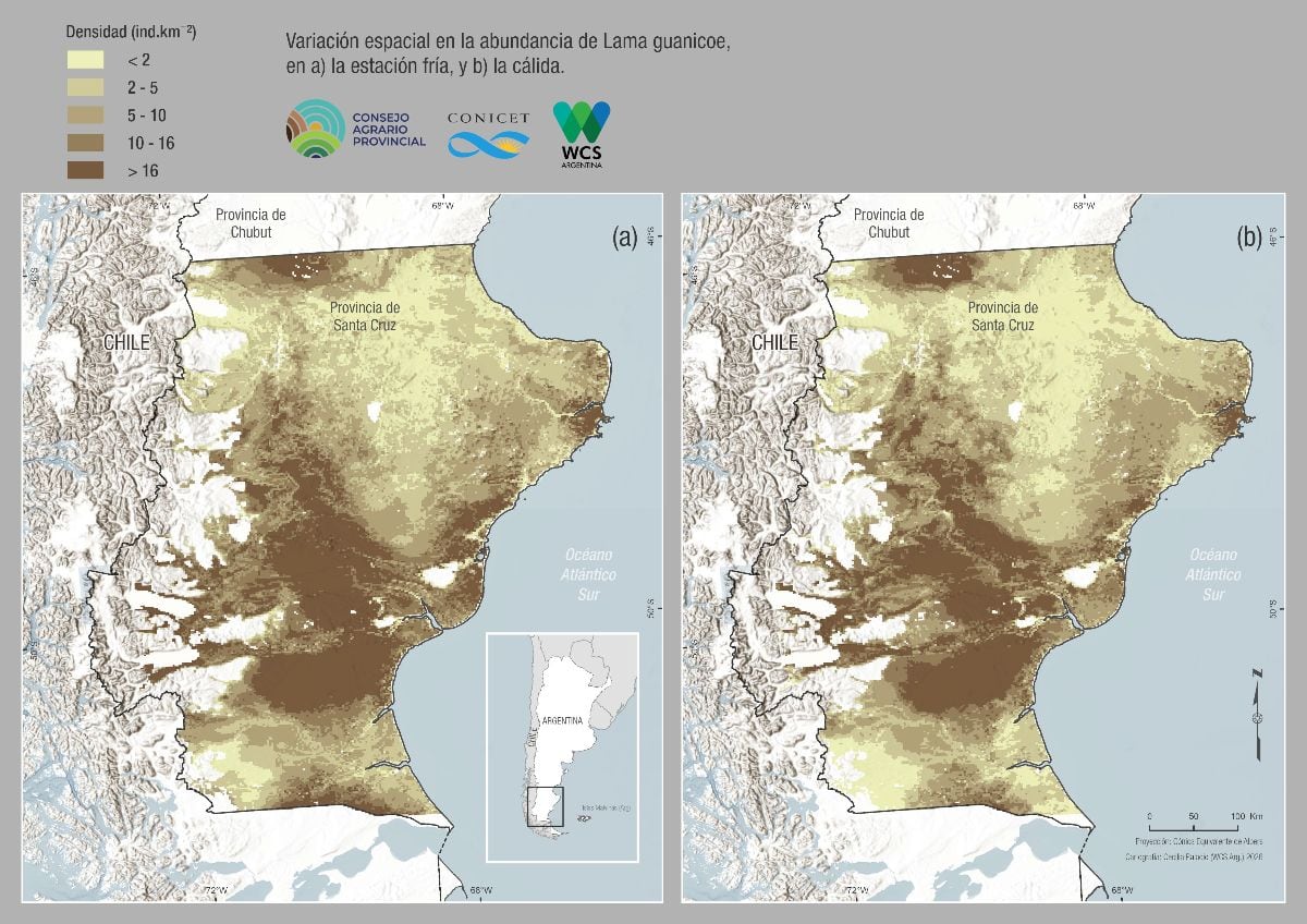 Un gobernador liberó un guanaco atrapado en un alambrado y lo mostró en redes 7 Mapa de la variación espacial en la abundancia del guanaco. Izquierda: estación fría. Derecha: estación cálida. Estudio realizado por el Consejo Agrario Provincial de Santa Cruz y la organización de conservación de la naturaleza WCS Argentina