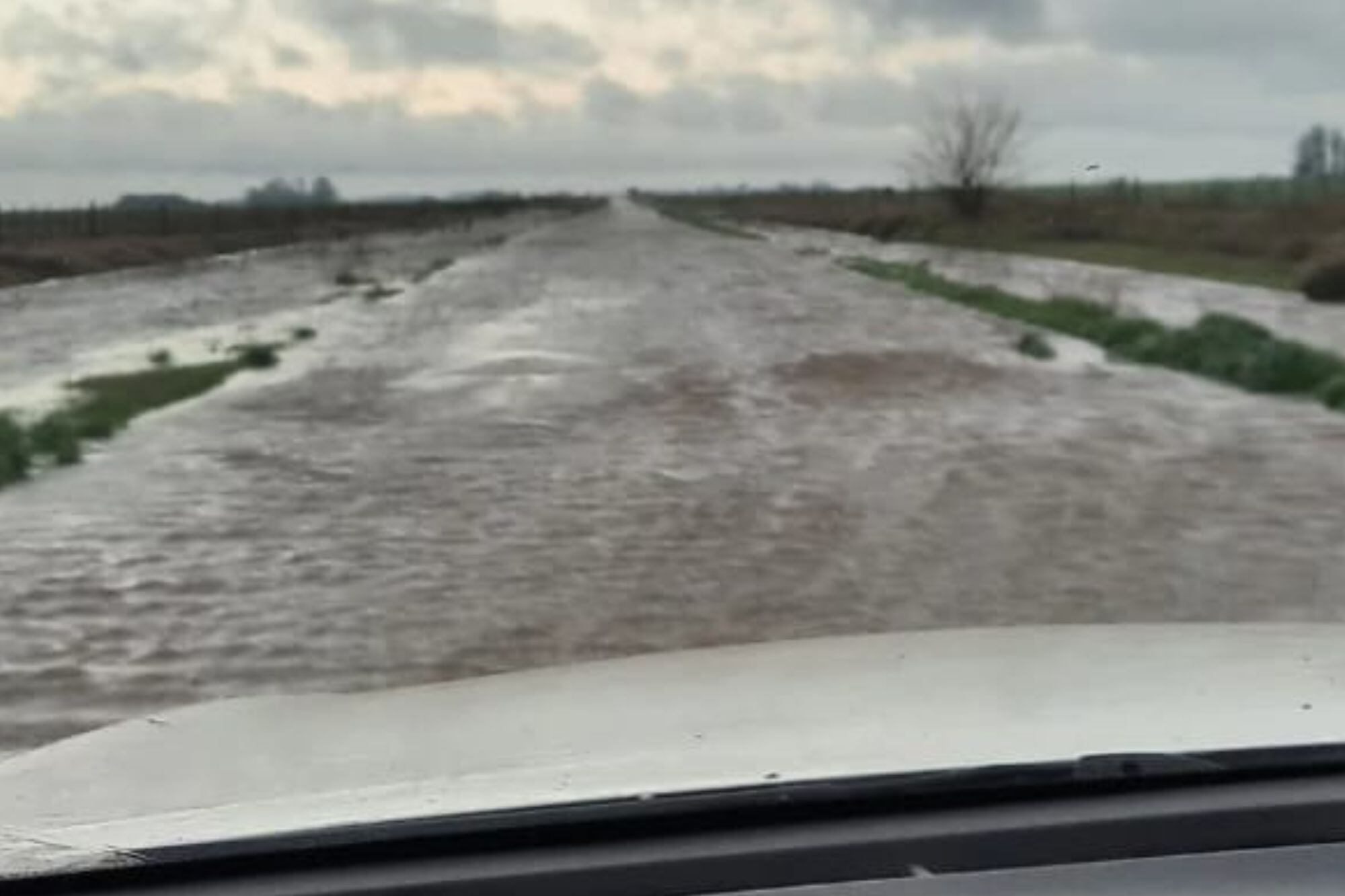 Un camino rural entre Rojas y Ferré, en el norte bonaerense