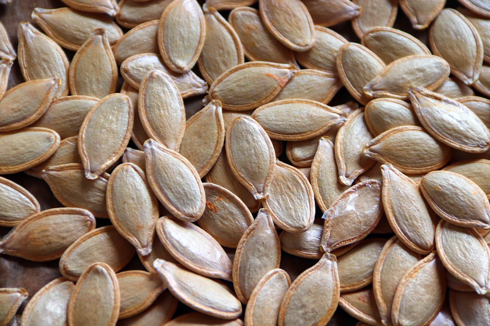 Si se guardan cuando se usa el zapallo, las semillas pueden conservarse en la heladera para convertirse más tarde en un delicioso snack
