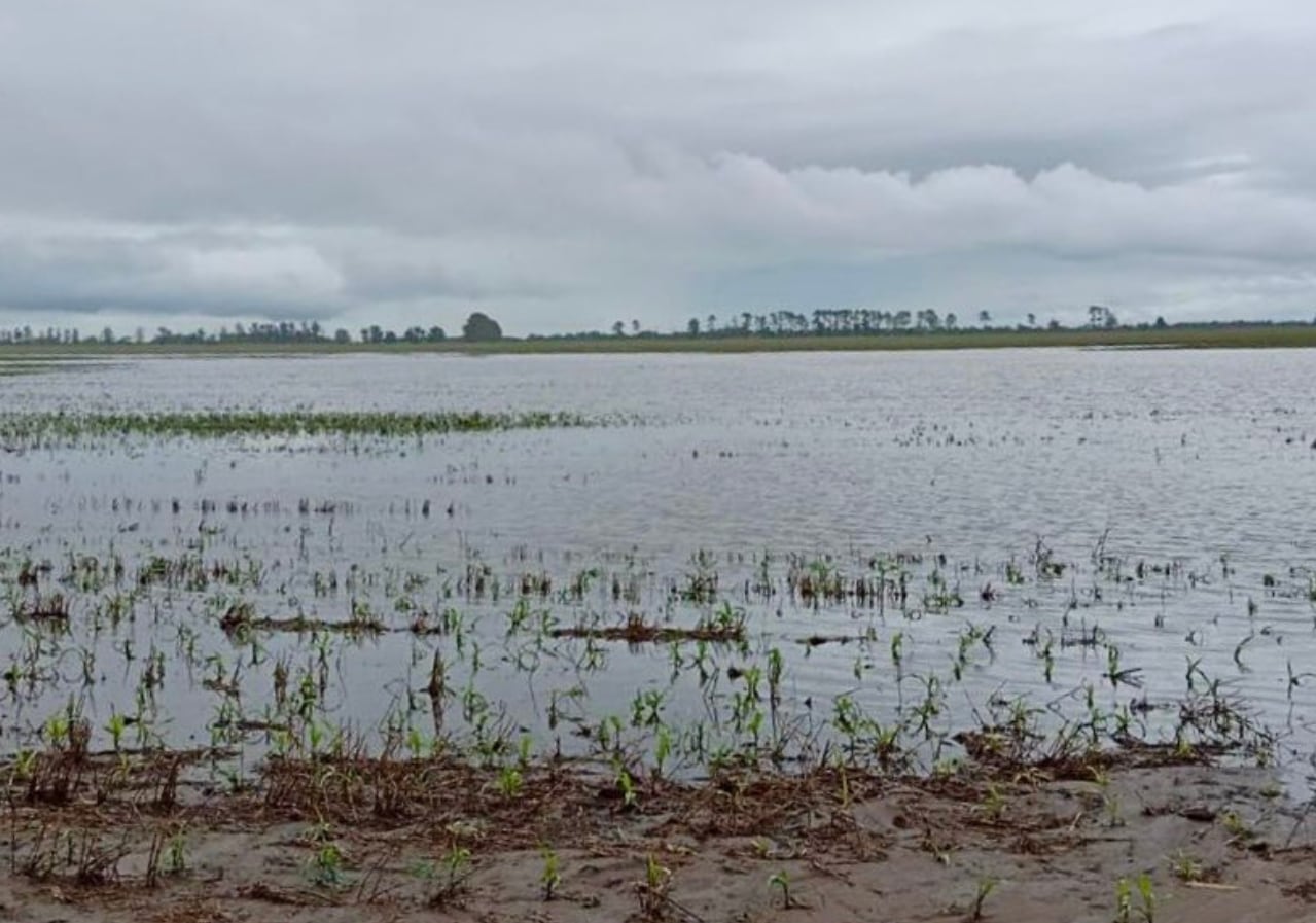 Temen más lluvias: el agua en Tucumán golpeó con todo en la infraestructura rural