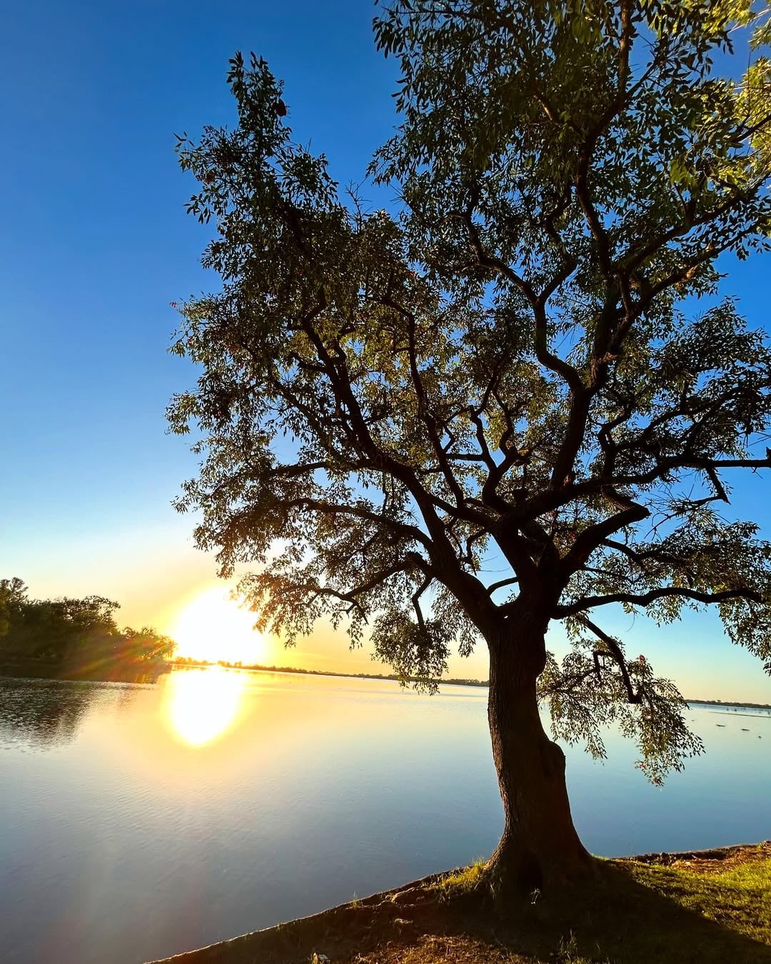 La Laguna de Navarro es ideal para visitar en verano, ya que pueden realizarse deportes náuticos o simplemente bañarse en sus aguas