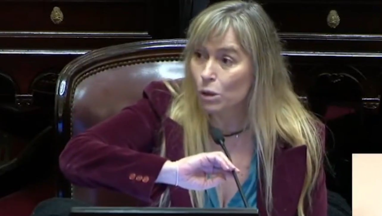 Video: así fue el cruce entre Bullrich y Di Tullio en el Senado