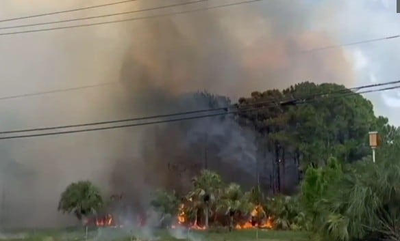 Un nuevo incendio forestal generó preocupación el domingo en Miami-Dade