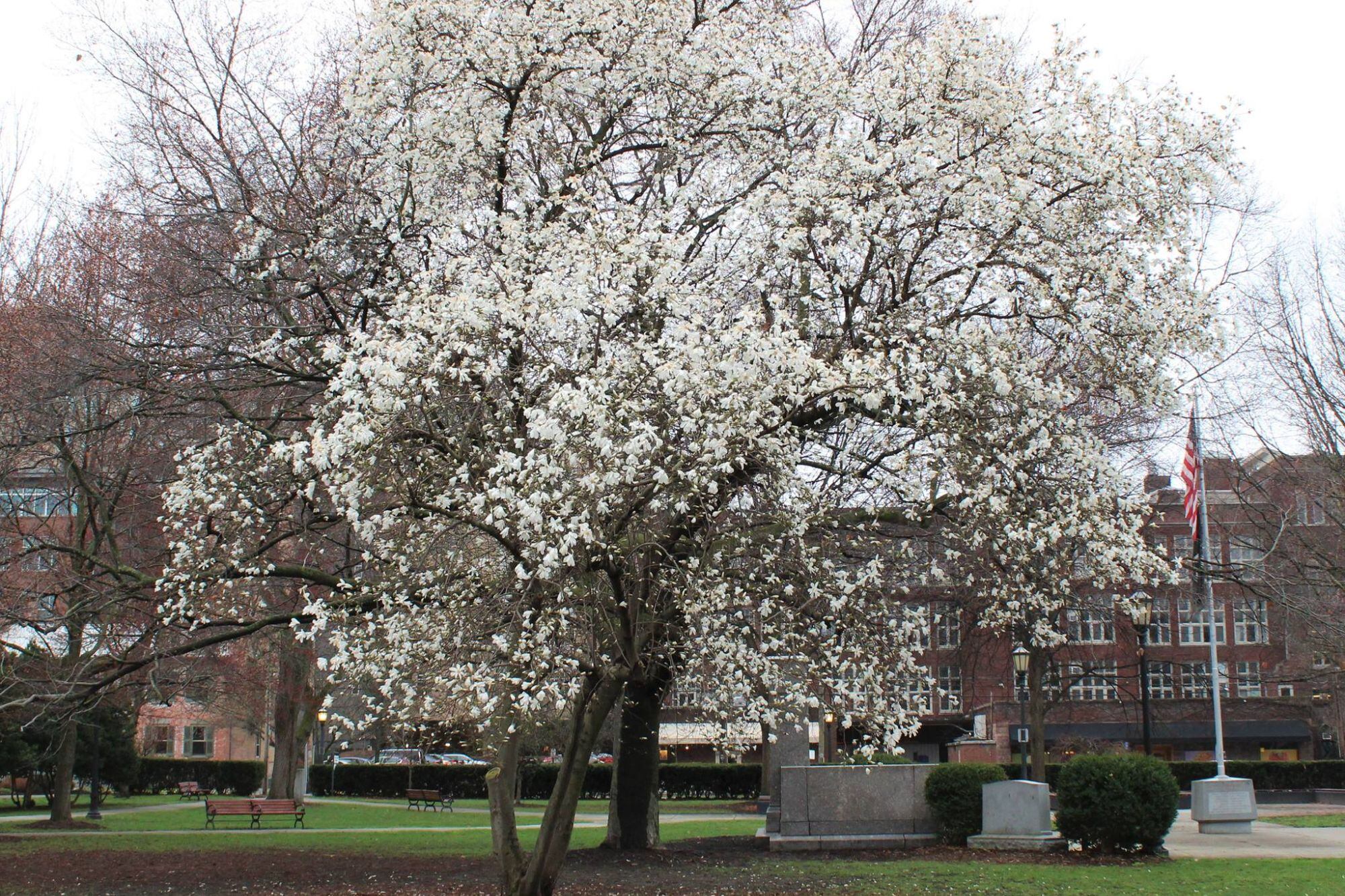 Ithaca ofrece un entorno natural ideal para la jubilación