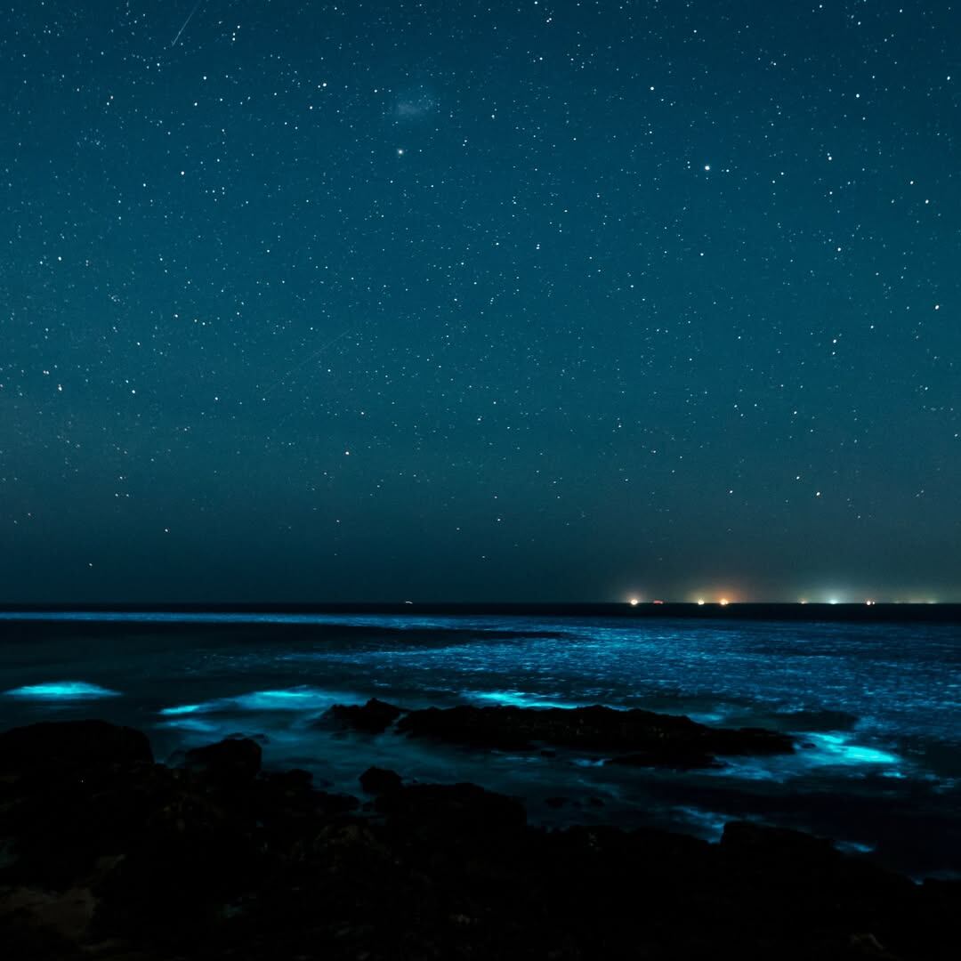 Sabrina Garciarena mostró el fenómeno fosforescente de las noctilucas en Punta del Este y dejó a todos sin palabras 8 La fotografía de Garciarena con las Noctilucas y la ciudad de Punta del Este detrás
