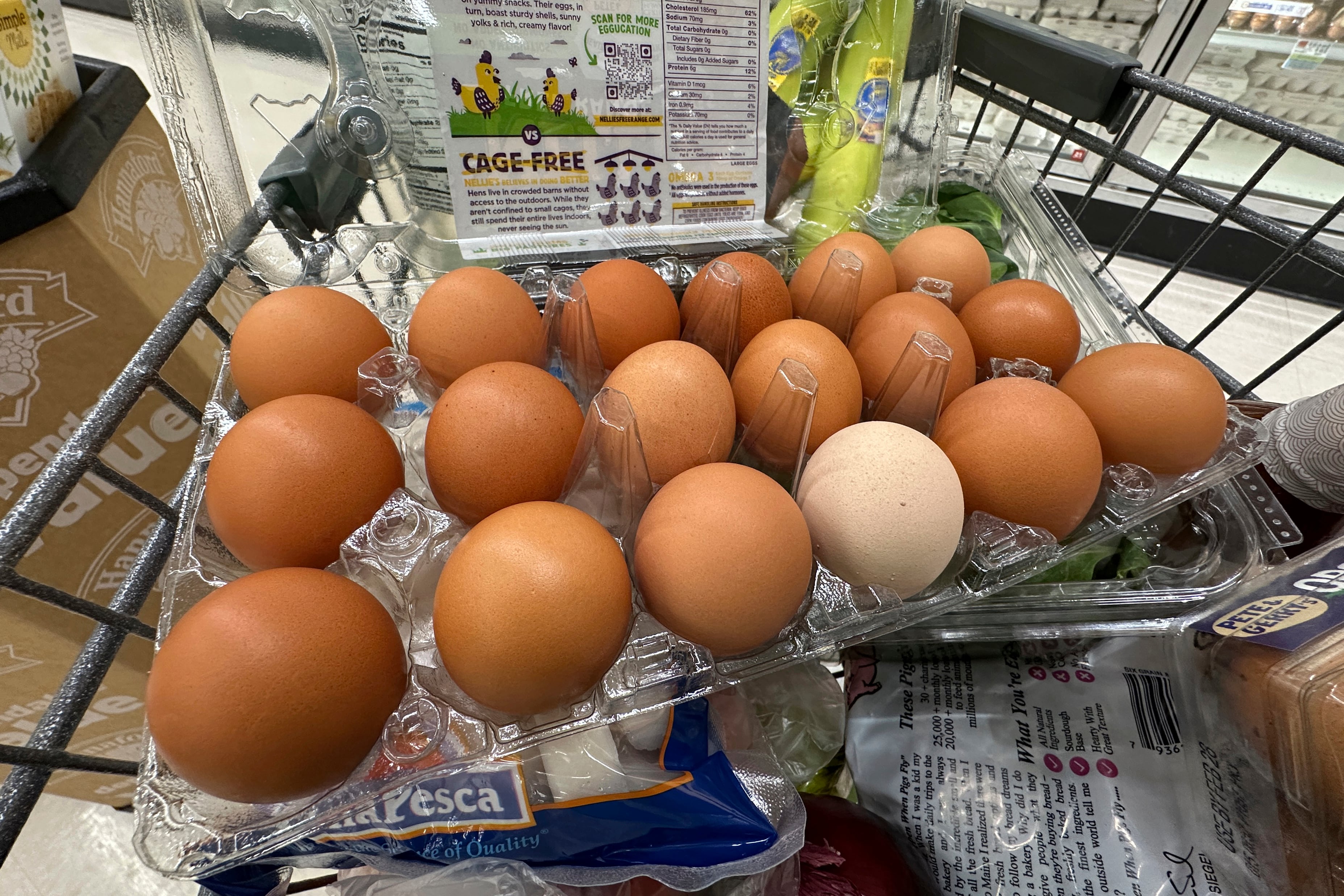 Los huevos bajaron de US$8 a US$1,17 por docena: por qué llegó el alivio justo para Pascua