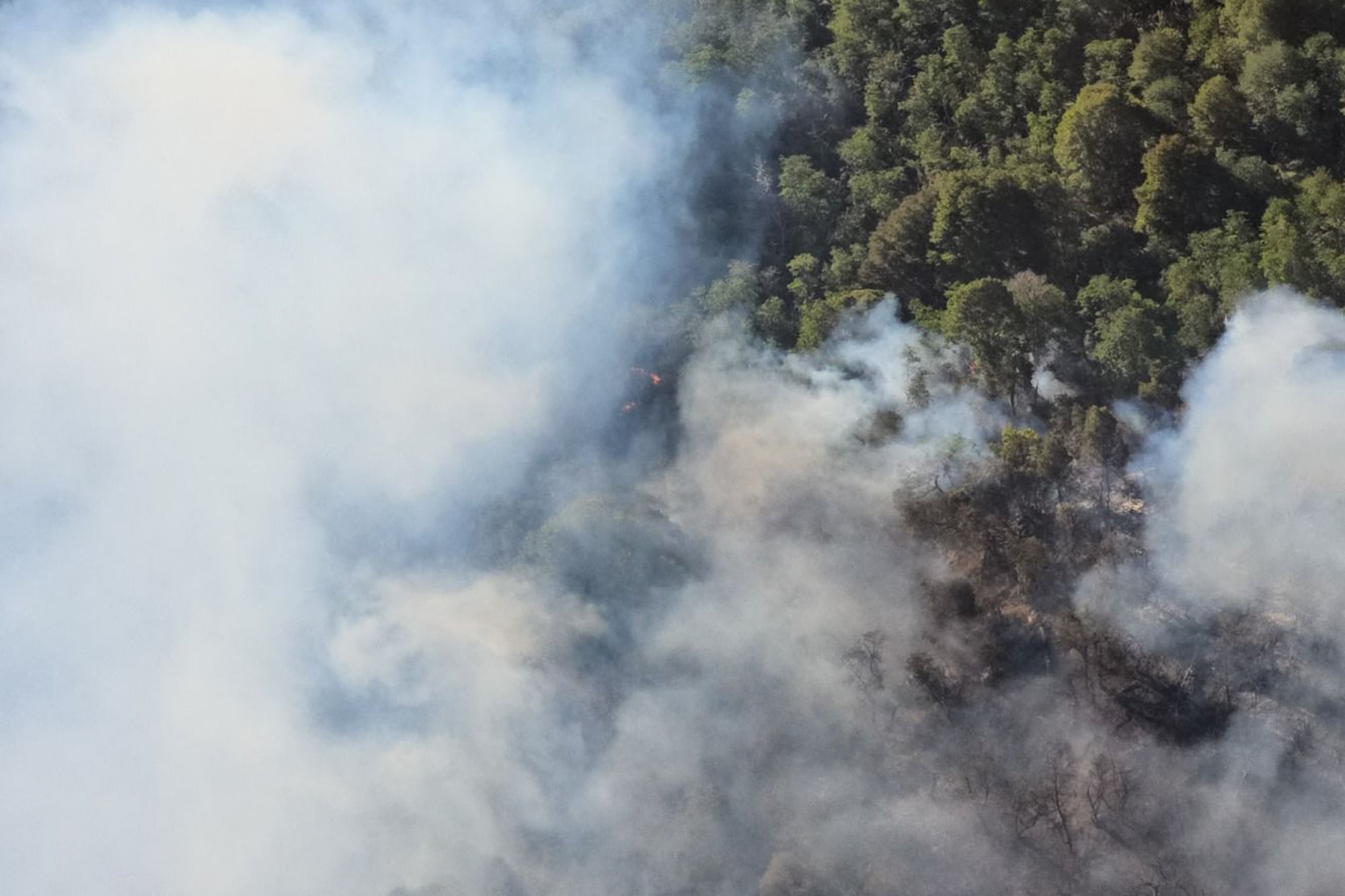 Hace casi un año se registraron impactantes incendios en el Parque nacional Nahuel Huapi