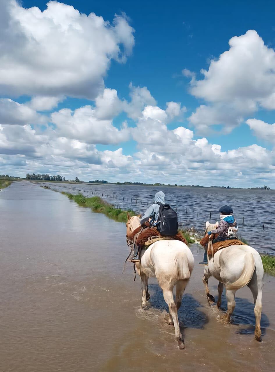 Buenos Aires: en el campo hay quejas porque faltaron obras para controlar las inundaciones 7 Las familias y chicos están movilizándose a caballo