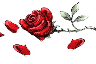 Lo que dicen las cartas de amor a la distancia