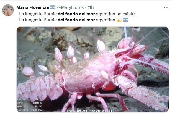 El color de la langosta también fue el centro de atención (Foto: Captura X @MaryFlorok)
