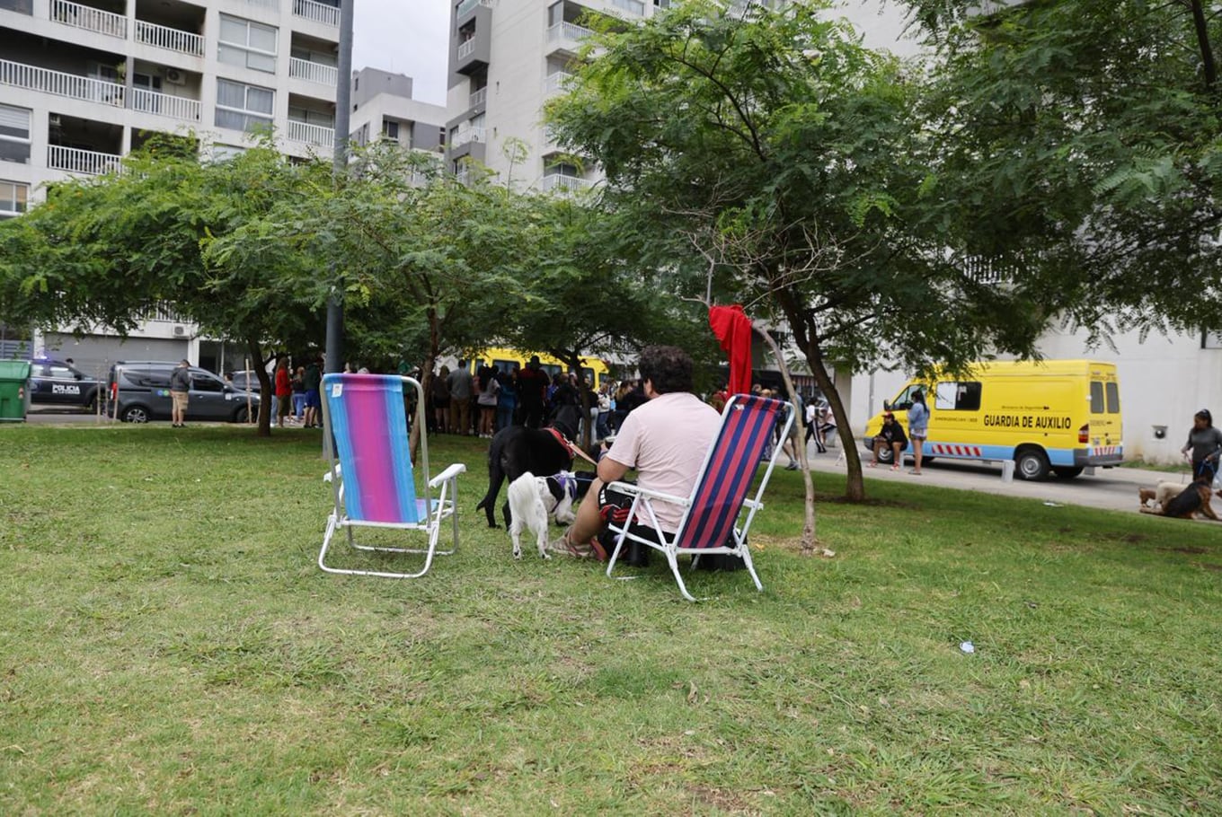 Un vecino y sus perros a la espera de novedades