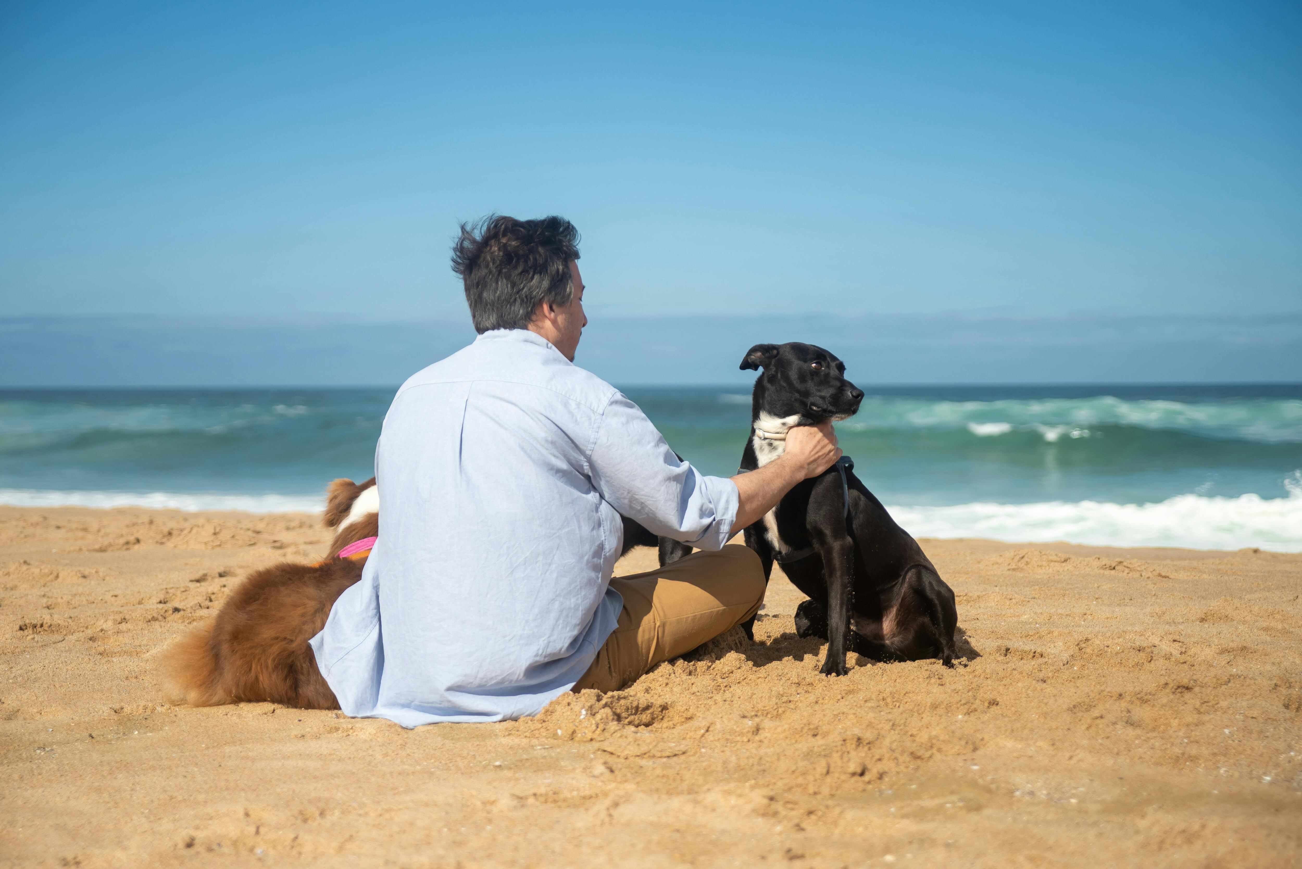 Cada vez más argentinos eligen alojamientos pet-friendly