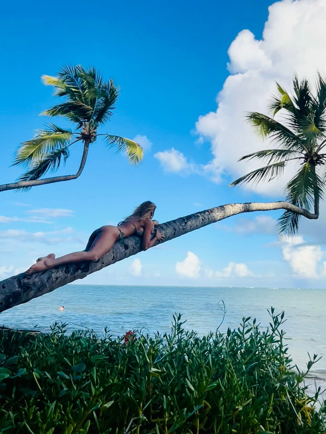 La conductora lució su silueta sobre una palmera inclinada hacia el mar en una de las postales más comentadas del viaje