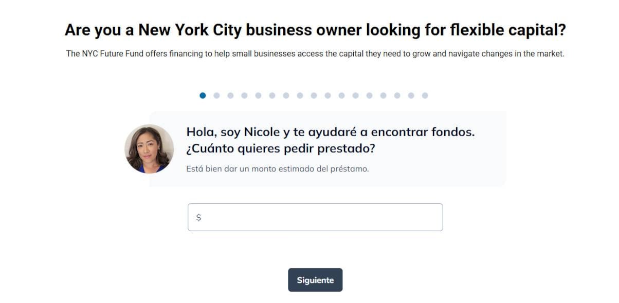 Programa de ayuda para pequeños negocios en la ciudad de Nueva York