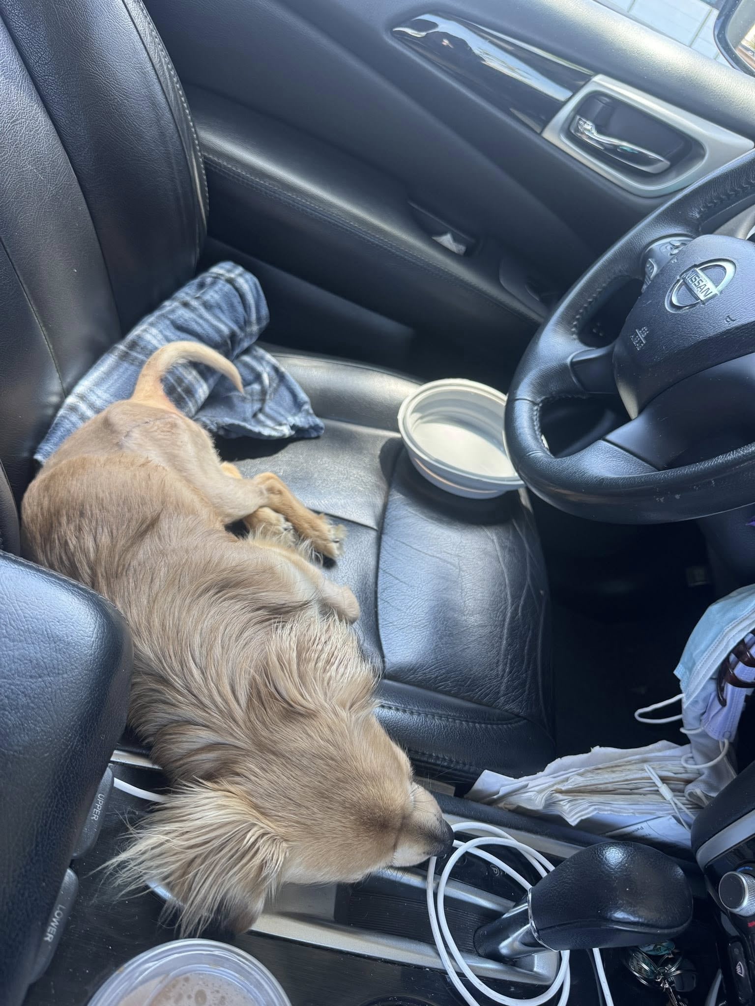 Rosen nunca se rindió.