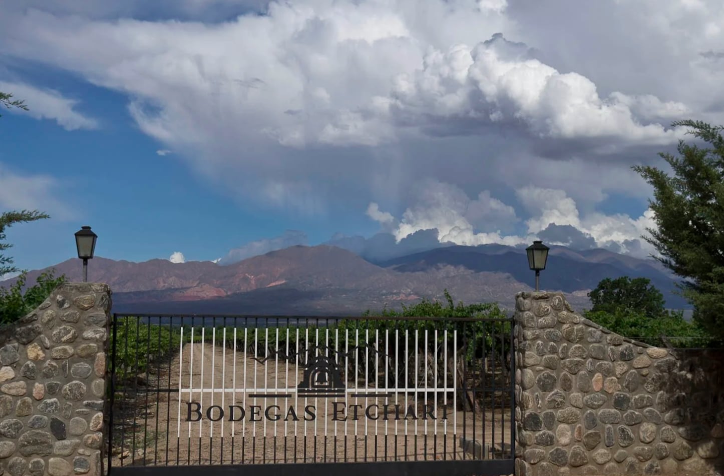 Nuevo dueño: Molinos Río de la Plata compró una conocida bodega salteña y se expande en el negocio del vino