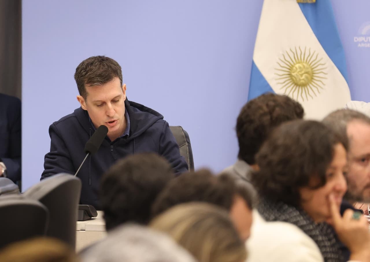 Comisión emergencia en discapacidad en diputados.