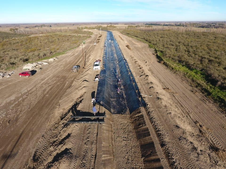 Imágenes de las tareas que realizan en el campo