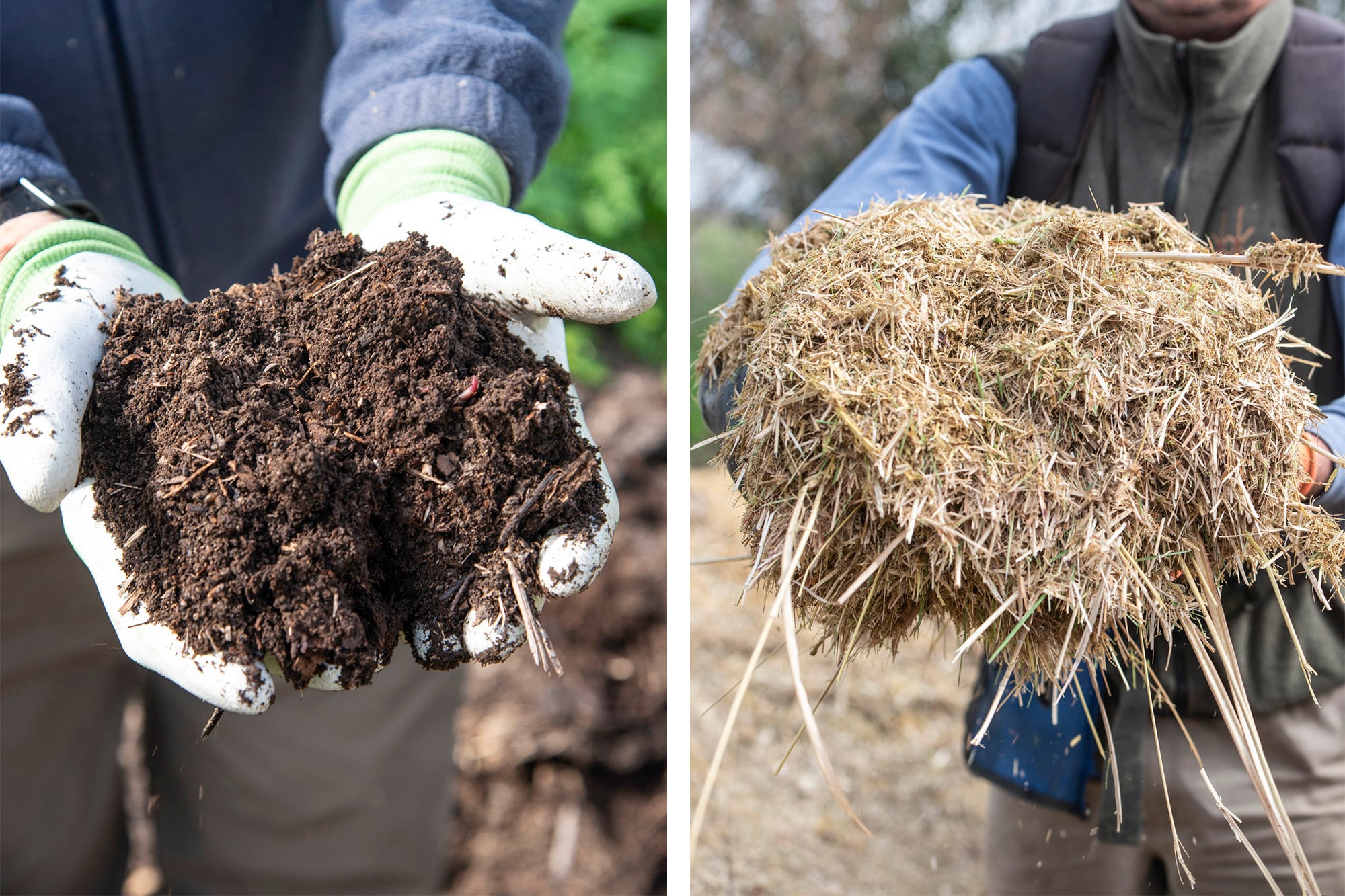 El material de la poda de gramíneas puede sumarse al compost que luego nutrirá el suelo