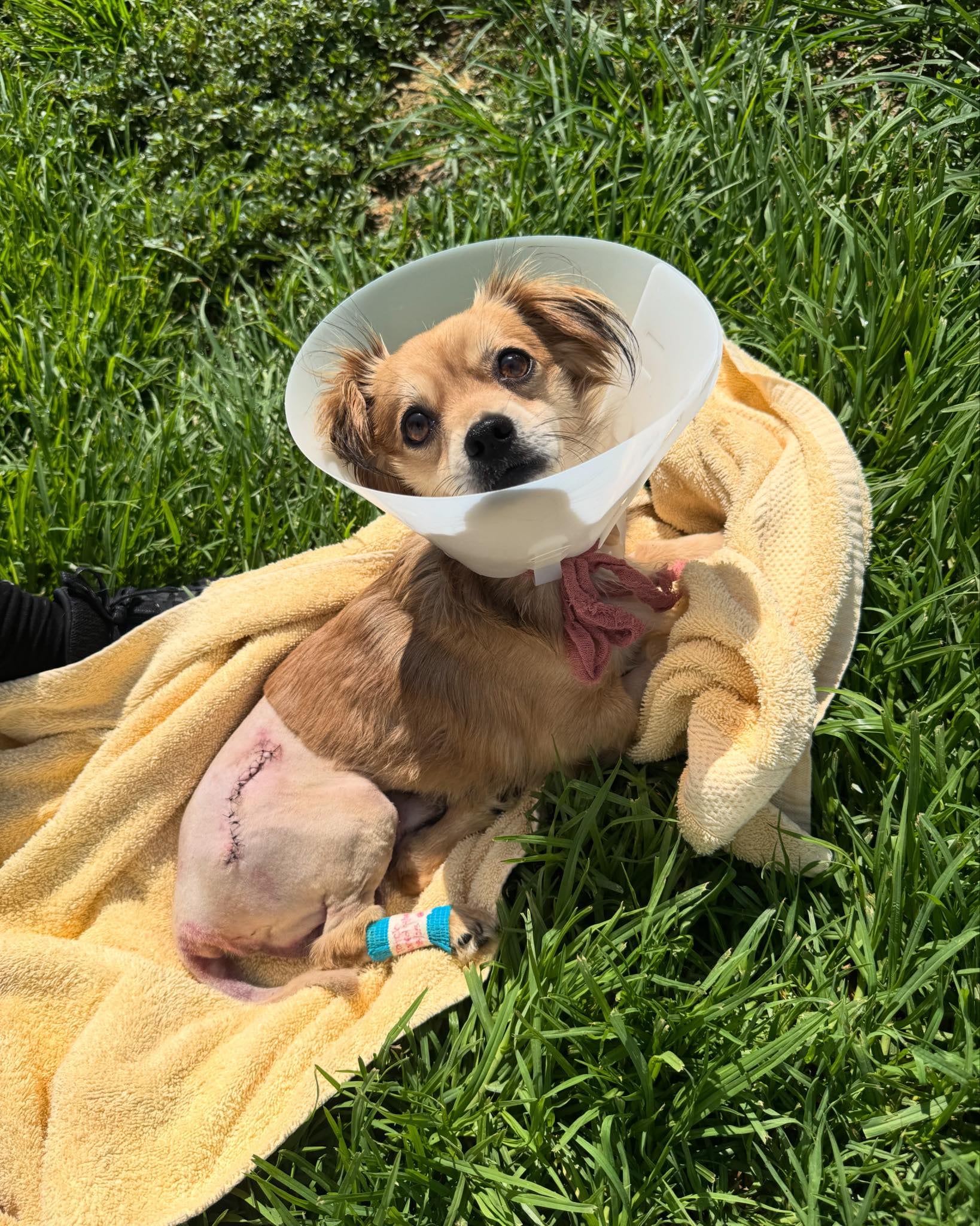 Rosen superó con éxito la primera parte de su rehabilitación.