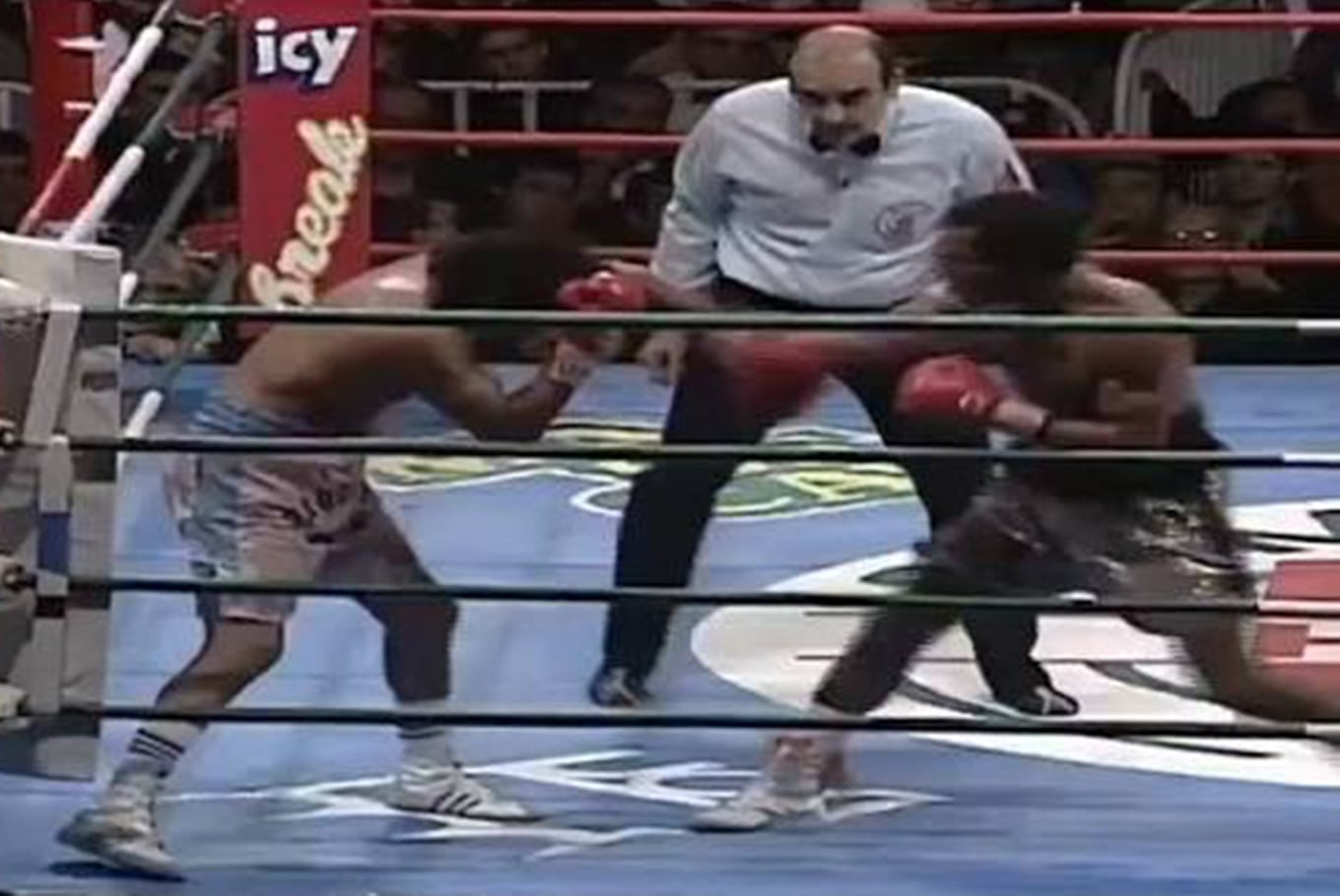 La pelea entre Jorge Locomotora Castro y John David Jackson en 1994