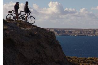 Chubut: tres excursiones para explorar el Golfo Nuevo
