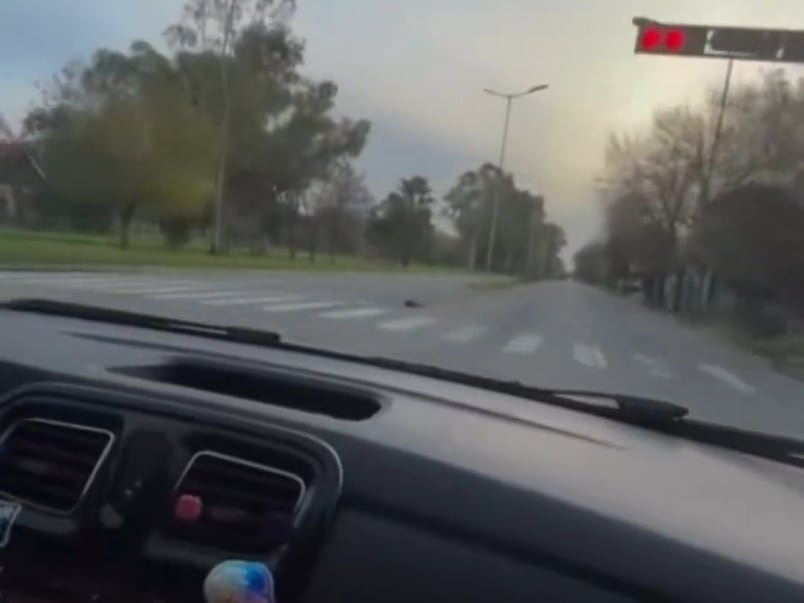 El mensaje de la joven que se grabó mientras manejaba a 180 km/h y cruzaba semáforos en rojo en Berisso