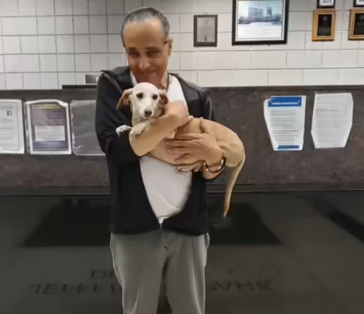 Un perro de servicio es un animal entrenado específicamente para ayudar a una persona con discapacidad a realizar tareas cotidianas que, de otro modo, serían difíciles o imposibles (Foto: Redes sociales)