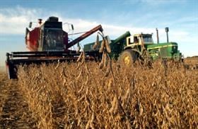 Subió US$7,44: se disparó el precio de la soja en el mercado internacional por un combo de factores gravitantes