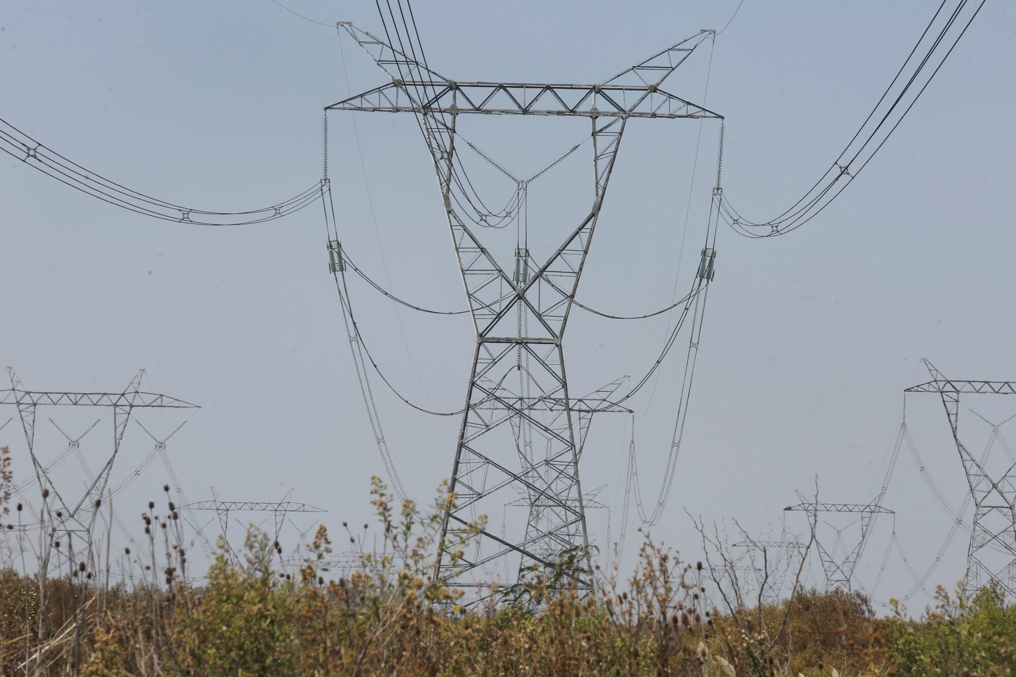 Con el fin de abrir el mercado, el Decreto 450/2025, modifica las leyes que fijan las reglas del sector de la energía eléctrica