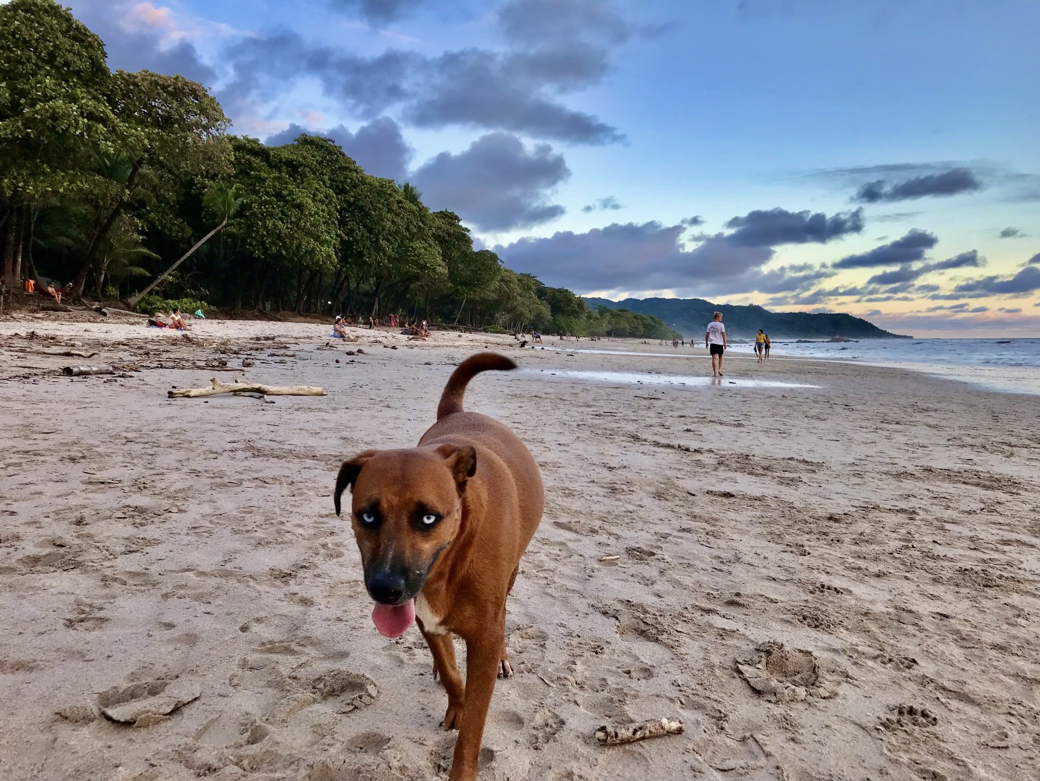 La temporada seca ofrece mar calmo y días soleados mientras la temporada de lluvias intensifica el verdor de la selva