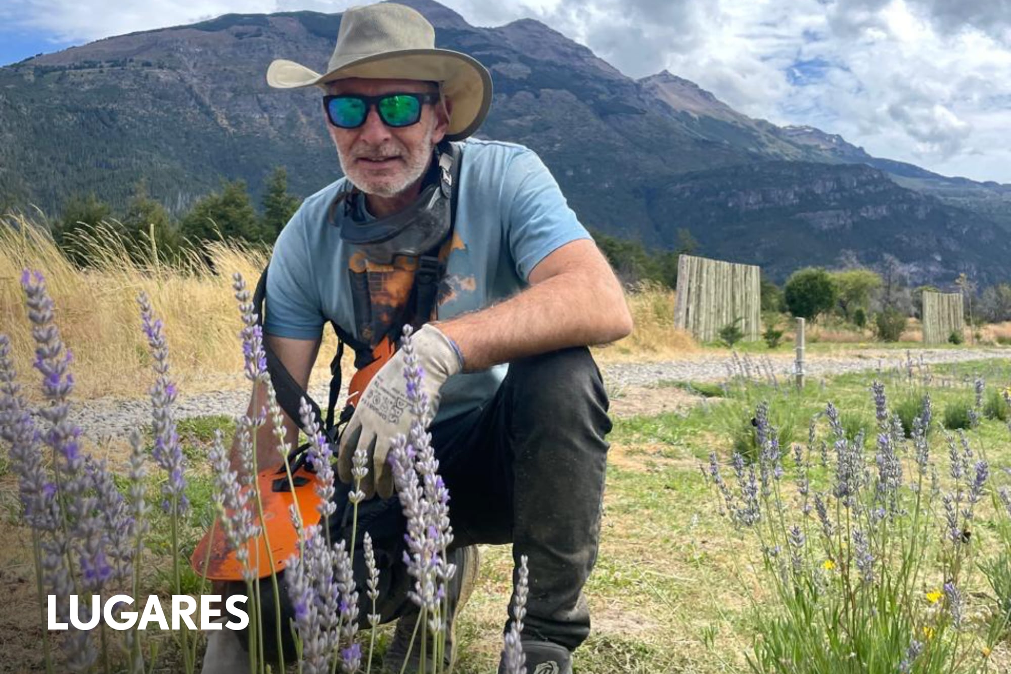 De criar vacas a cultivar flores: la historia detrás de la chacra de lavandas más austral del mundo
