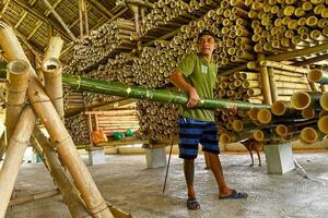 Cómo el bambú (o guadua), usado durante milenios en Sudamérica, está revolucionando la construcción antisísmica