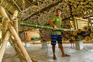 Cómo el bambú, usado durante milenios en Sudamérica, está revolucionando la construcción antisísmica