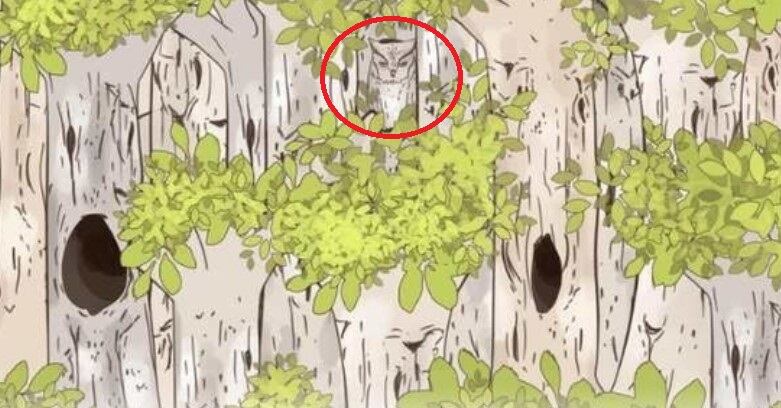 La resolución del acertijo