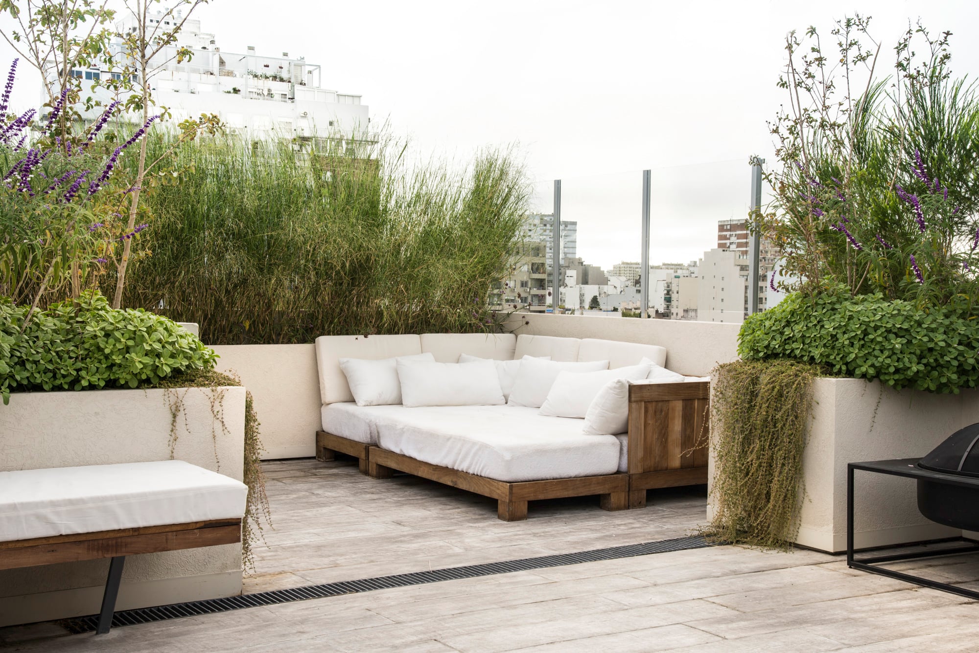 Multiplicar plantas a partir de pocos ejemplares permite sumar verde a la terraza de forma gradual y sin grandes gastos