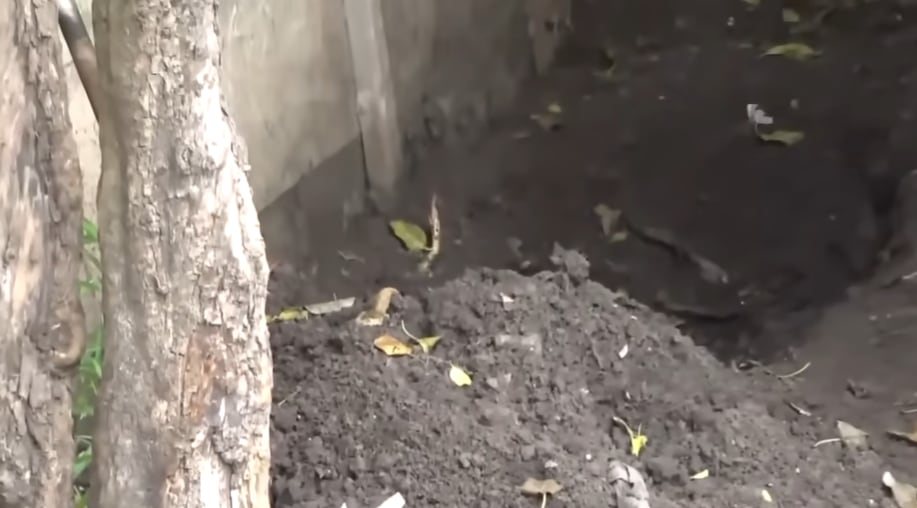 La tierra removida en el fondo de la vivienda