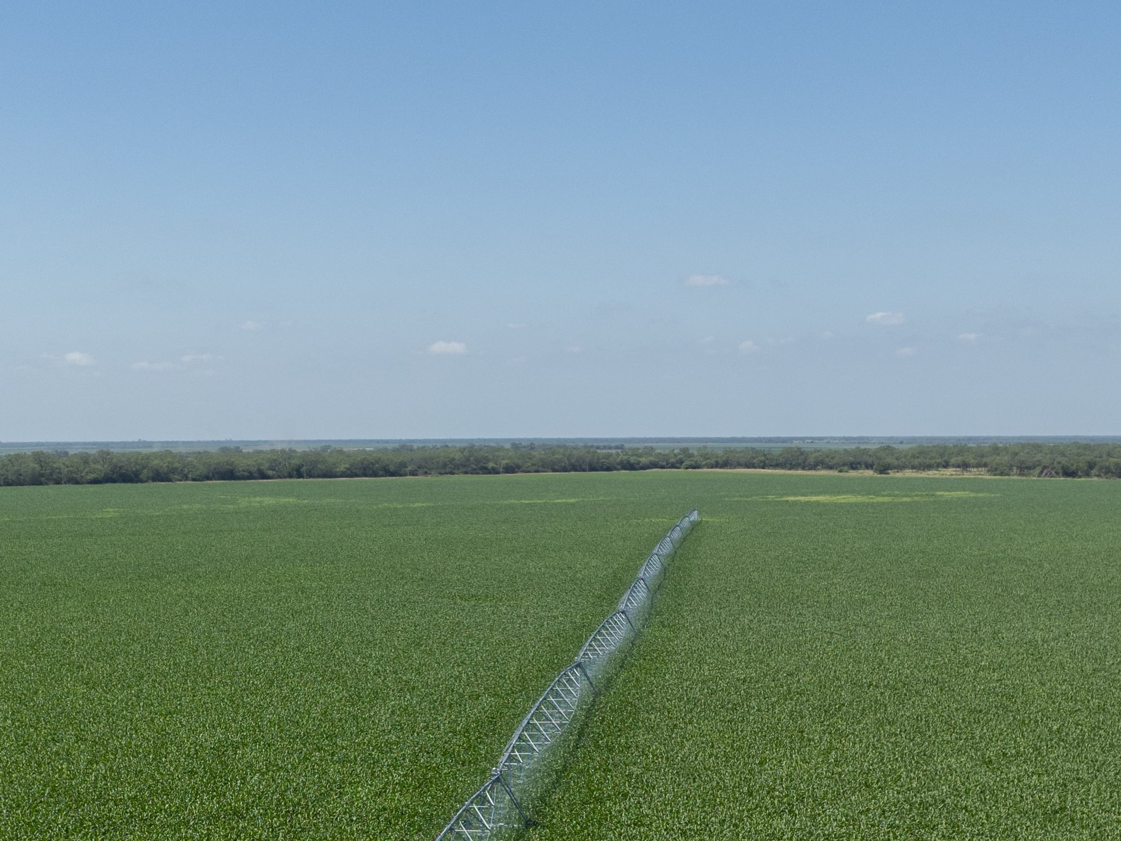 El riego fue una apuesta importante