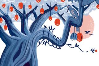 Baobab. El árbol que ahora se consume como superalimento