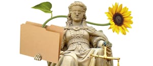 “Mérito en lugar de acomodo”: el poderoso mensaje de la Corte