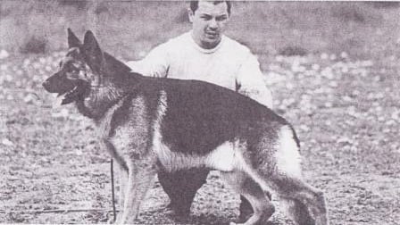 Por Chonino, se fijó el 2 de junio como el Día nacional del Perro en la Argentina