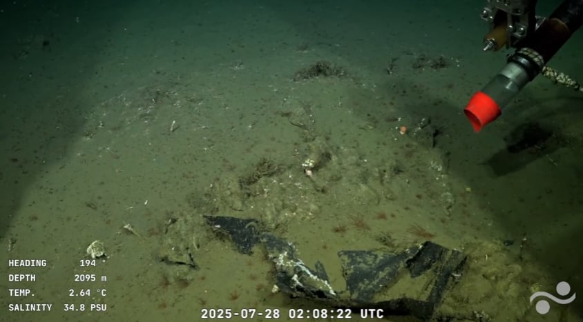 Más residuos plásticos en el cañón Mar del Plata
