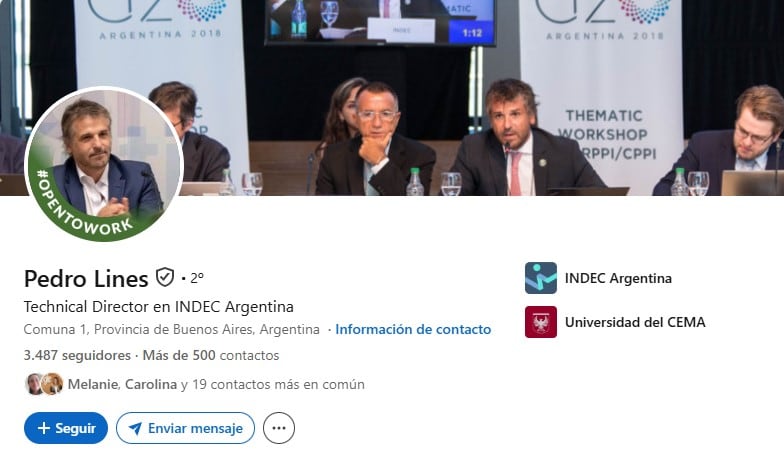 El perfil de Pedro lines en Linkedin
