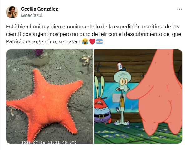 Los mejores comentarios del streaming del Conicet en las redes (Foto: X @ceciazul)