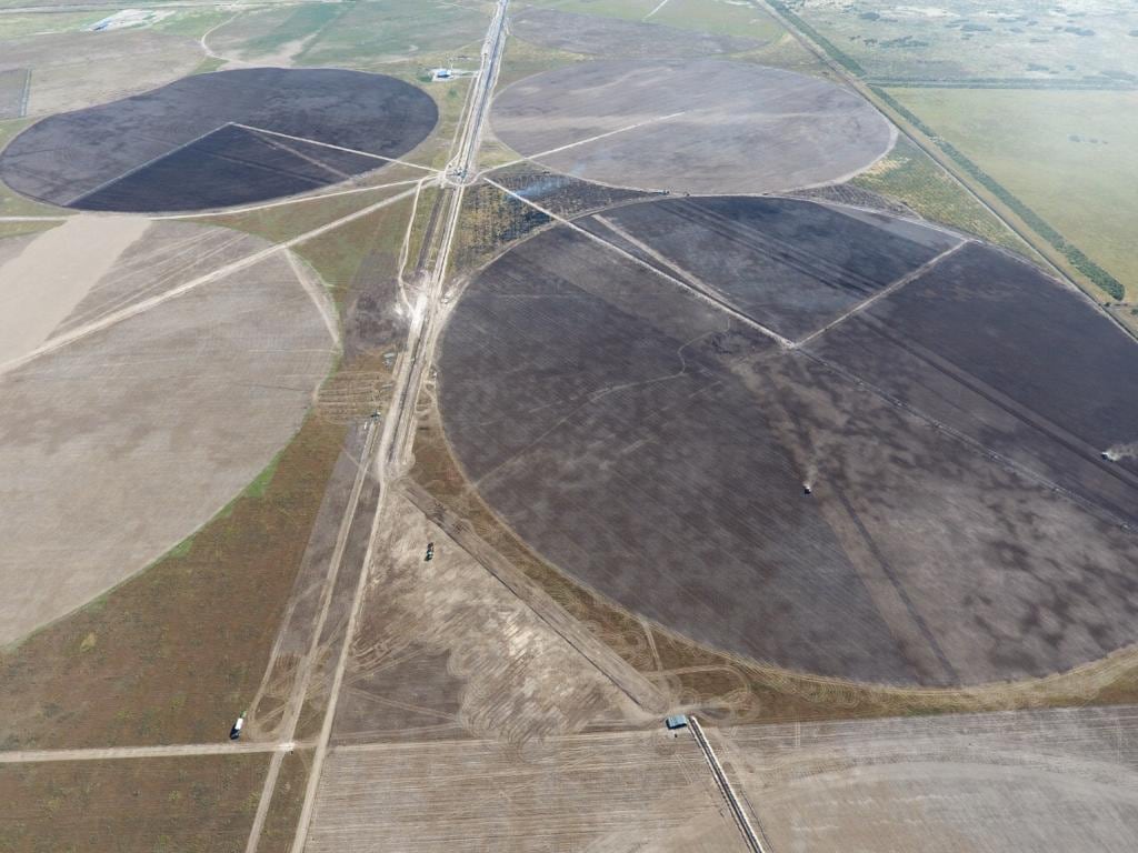 El desarrollo productivo que lleva adelante el productor