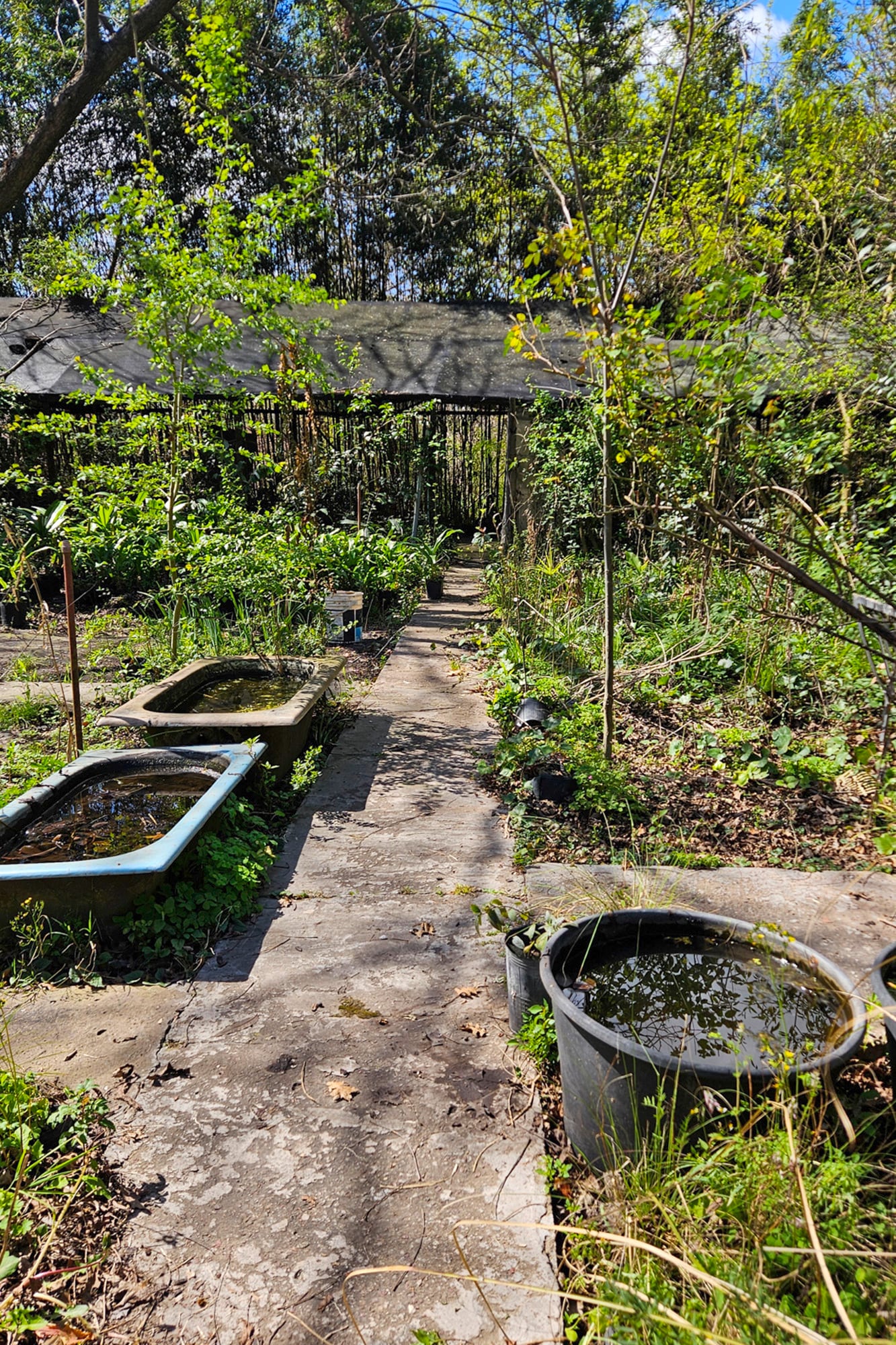 El amor por las plantas es herencia de su abuelo y su hermano. Desde los 5 años caminaba detrás de su abuelo español en su quinta. Más adelante, su hermano Martín —quien tenía criaderos masivos de plantas en Panamá y Estados Unidos— le contagió la fascinación por la producción botánica a gran escala y le regaló el terreno en Benavídez para fundar el vivero