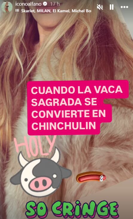 La historia que Graciela Alfano subió a sus redes y apuntó contra Susana (Foto: Instagram @iconoalfano)