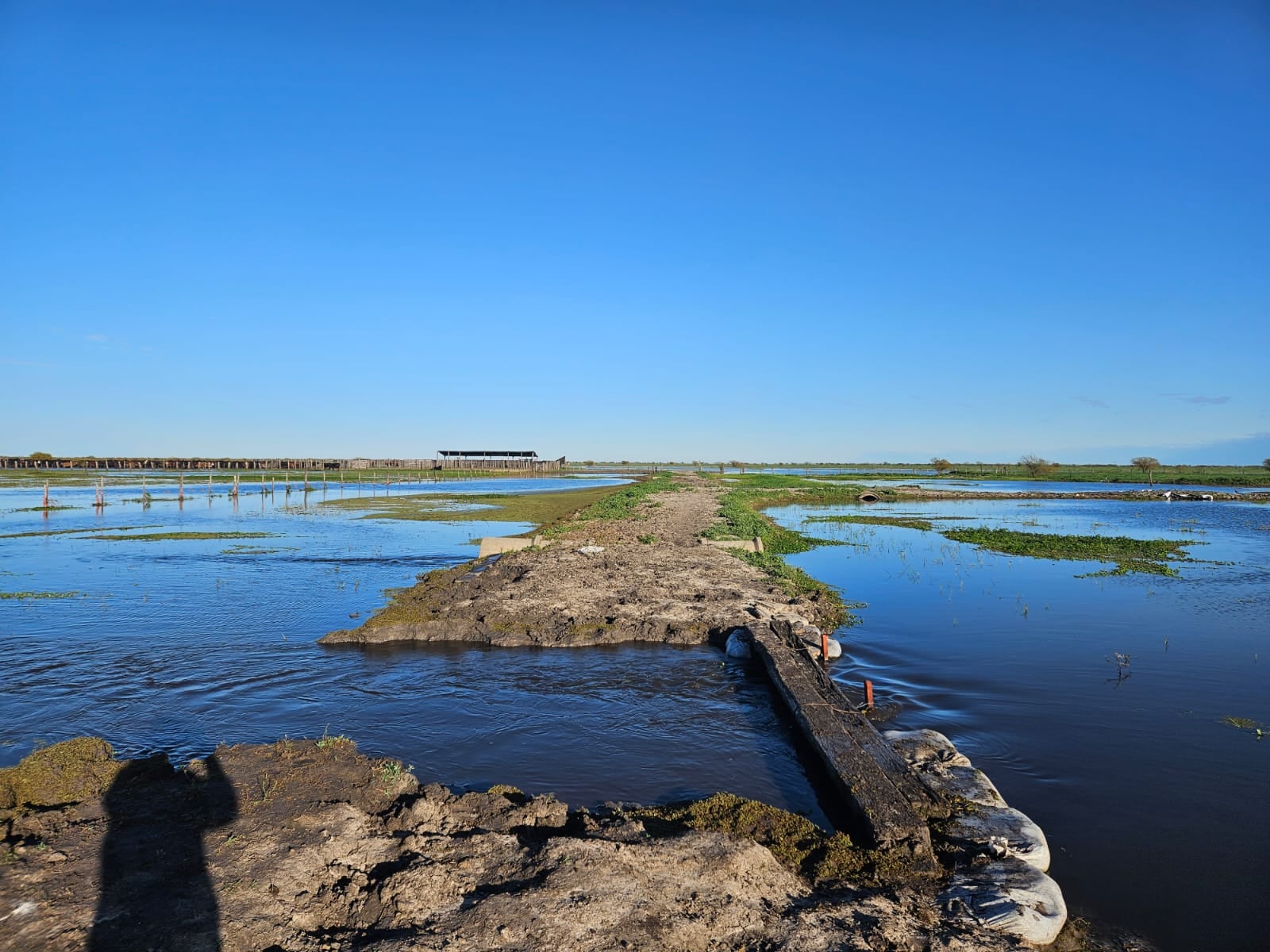 El Niño: reclaman un plan nacional para enfrentar el fenómeno climático extremo y actuar antes de las inundaciones 8 “Nuestra preocupación e inquietud pasa por hacer las cosas de manera preventiva, que las cosas se hagan de antemano y no esperar a que se tenga que declarar la emergencia”, remarcó Castagnani